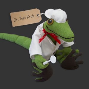 Geckos
